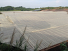 corrugated fiberglass panel for greenhouse