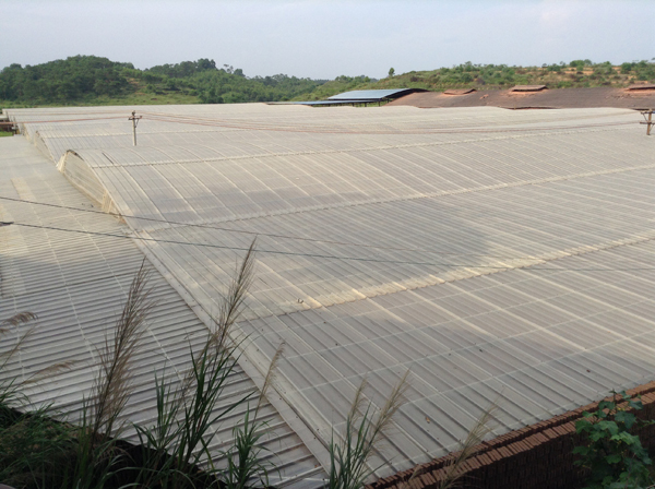 lámina de fibra de vidrio transparente de 2mm para techo
