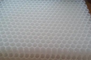 Polypropylene honeycomb core