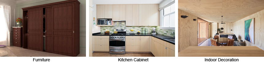 PLYWOOD HONECOMB PANEL APPLICATIONS